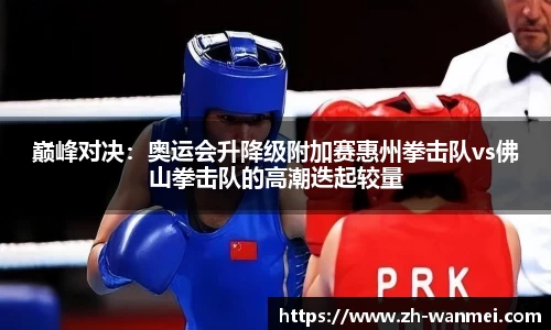 巅峰对决:奥运会升降级附加赛惠州拳击队vs佛山拳击队的高潮迭起较量